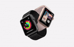 servis Apple Watch